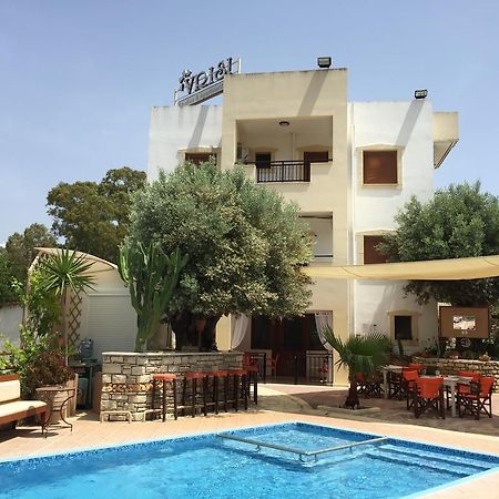 Vrisi Apartments & Villa Pitsidia Dış mekan fotoğraf