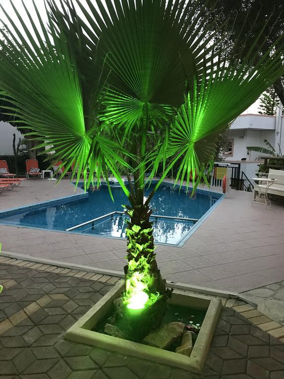 Vrisi Apartments & Villa Pitsidia Dış mekan fotoğraf